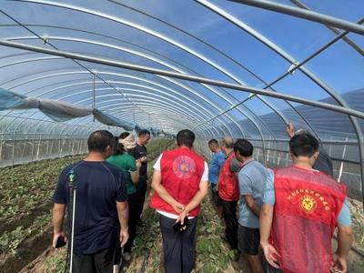 文明實踐鄉村行，技術服務暖人心——省農業農村廳開展農業病蟲害防治志愿服務活動