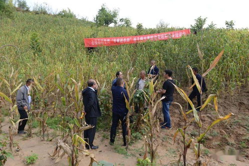 科技賦能田間地頭 縣科協(xié)全國科普日“專家進(jìn)農(nóng)田”系列培訓(xùn)活動(dòng)助力鄉(xiāng)村振興