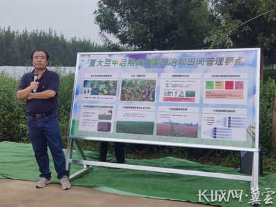 河北省大豆玉米帶狀復(fù)合種植突破百萬畝，科技助力農(nóng)業(yè)病蟲害防治