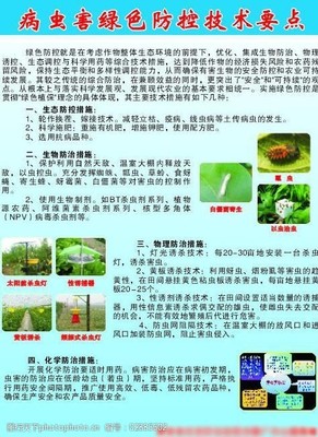 田間守護者 農(nóng)業(yè)病蟲害防治活動紀實