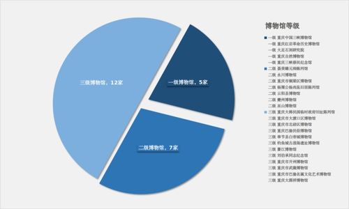 重慶文博事業(yè)蓬勃發(fā)展 博物館總數(shù)達122家 惠民服務與網(wǎng)絡技術雙輪驅動