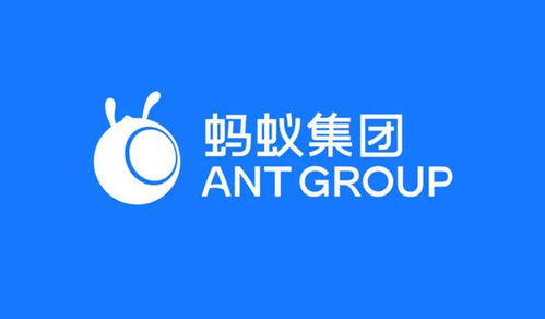 螞蟻集團在渝成立數字天螞公司，注冊資本1億元加碼網絡技術服務