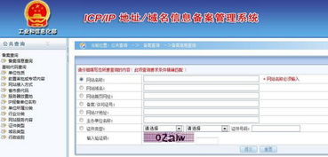 重慶網站建設哪家好？——引序科技立足技術深耕，引領網絡服務新風向